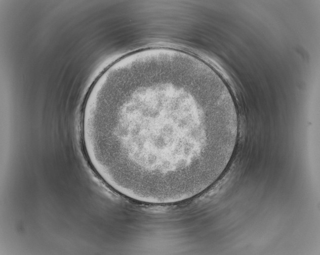 X0000111141048200907281108