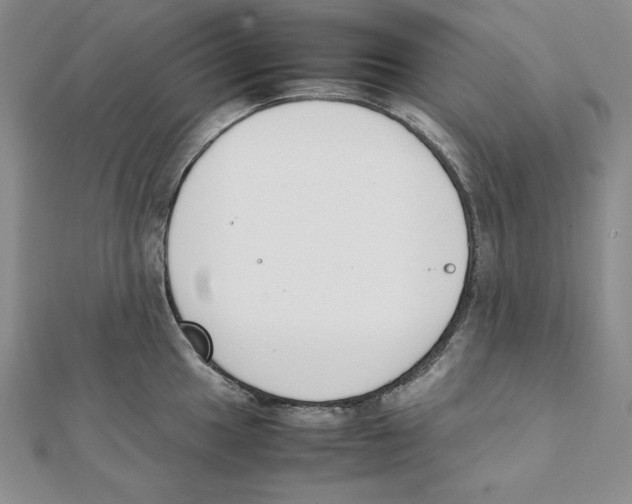 X0000111141049200907281108