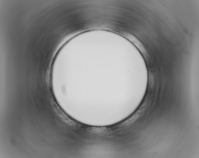 X0000111141052200907281108