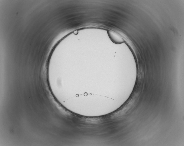 X0000111141053200907281108