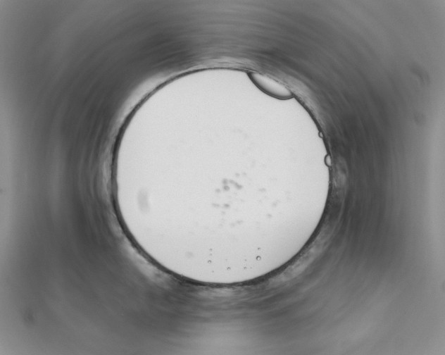 X0000111141054200907281108