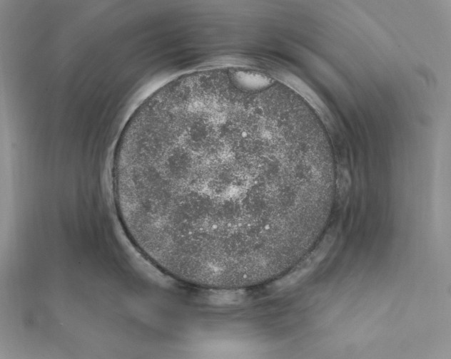 X0000111141055200907281108