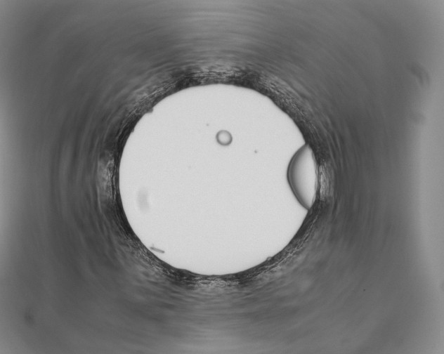 X0000111141059200907281108