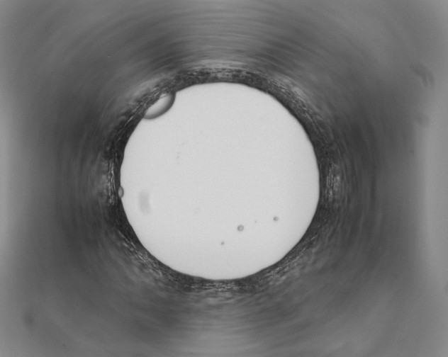 X0000111141062200907281108