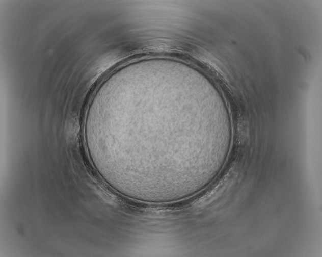 X0000111141065200907281107