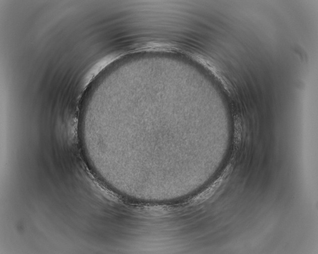 X0000111141066200907281107