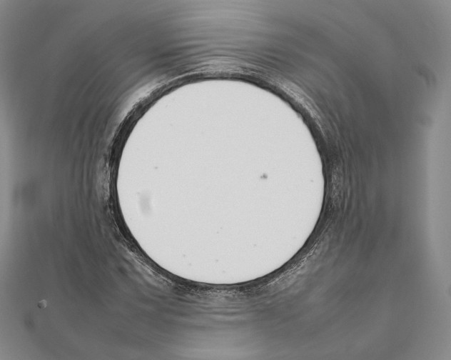 X0000111141067200907281107