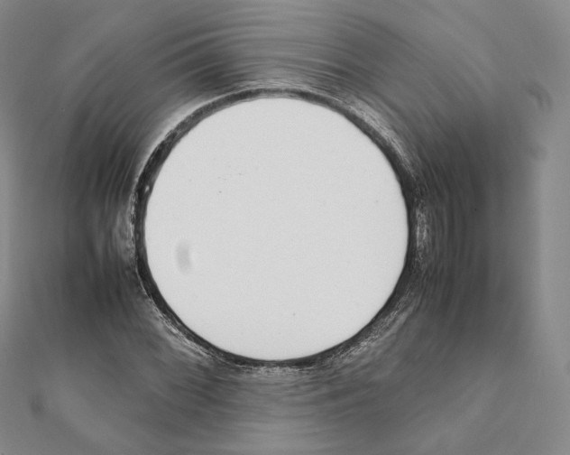 X0000111141068200907281107