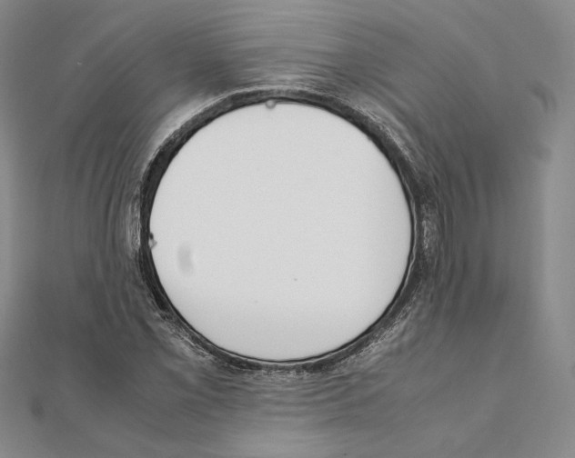 X0000111141069200907281107