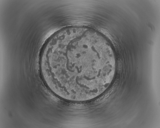 X0000111141071200907281107