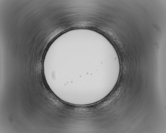 X0000111141073200907281107