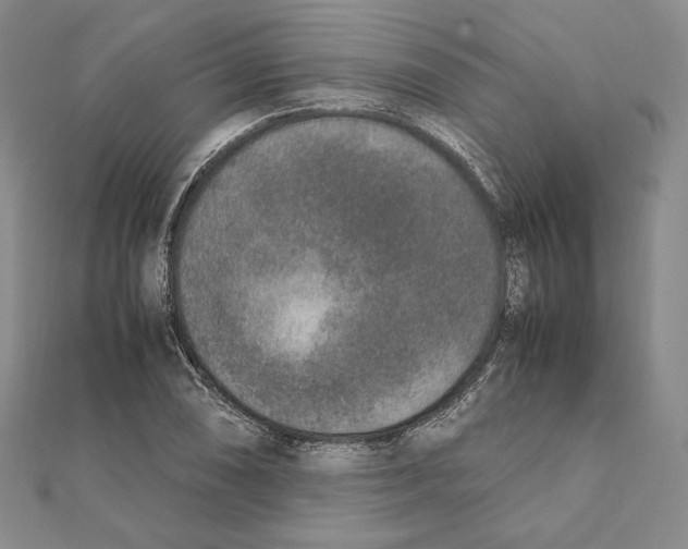 X0000111141074200907281107