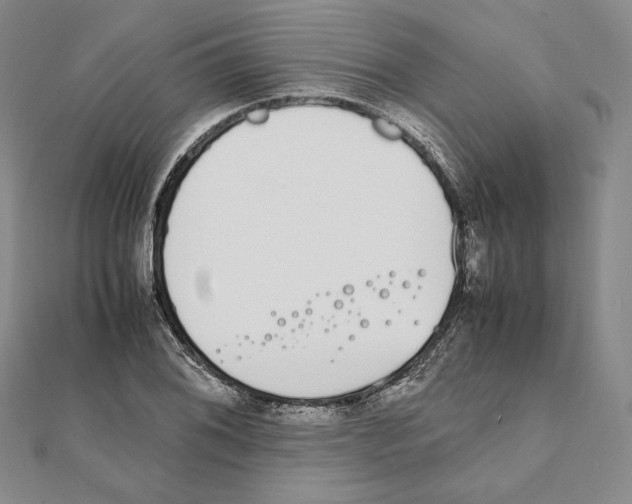 X0000111141076200907281107