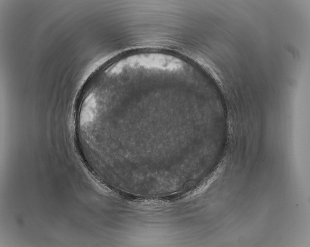 X0000111141077200907281107