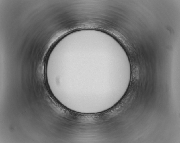 X0000111141078200907281107