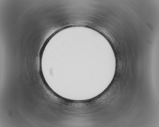 X0000111141079200907281107