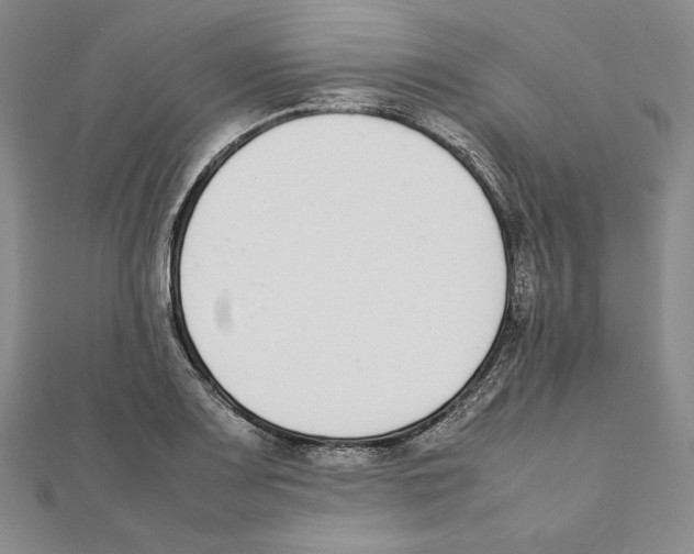 X0000111141083200907281107