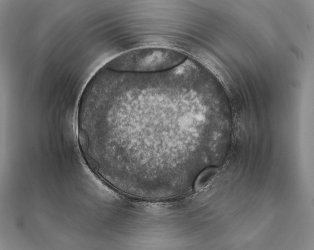 X0000111141084200907281107