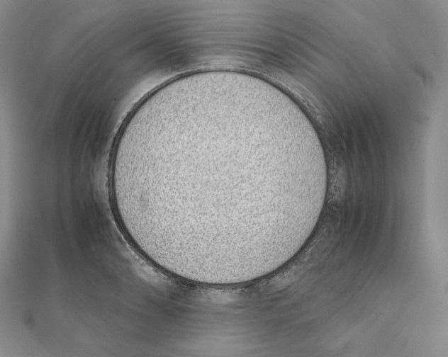 X0000111141086200907281107