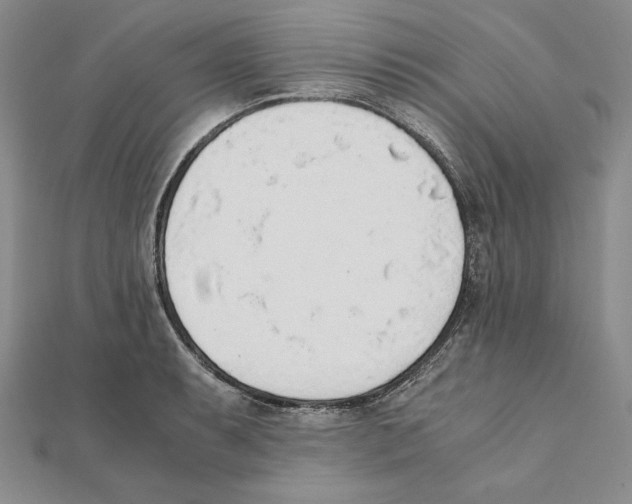 X0000111141087200907281107