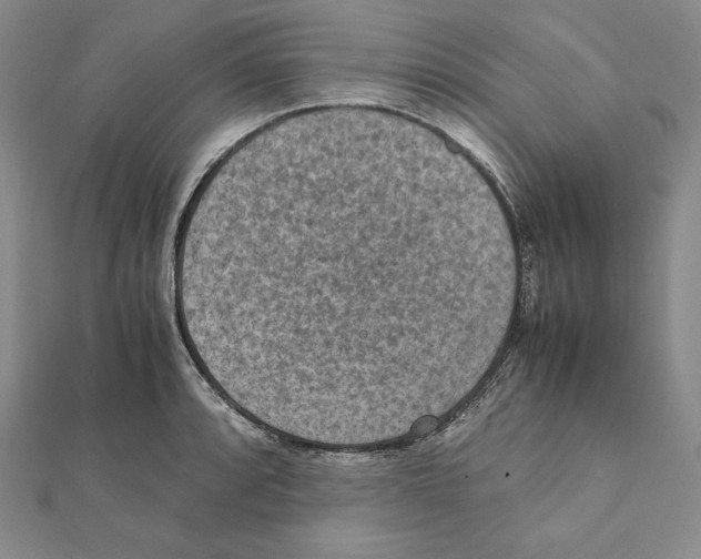 X0000111141088200907281107