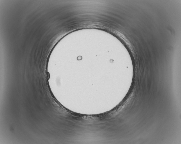 X0000111141089200907281107