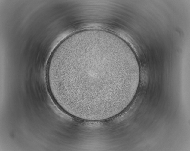 X0000111141090200907281107