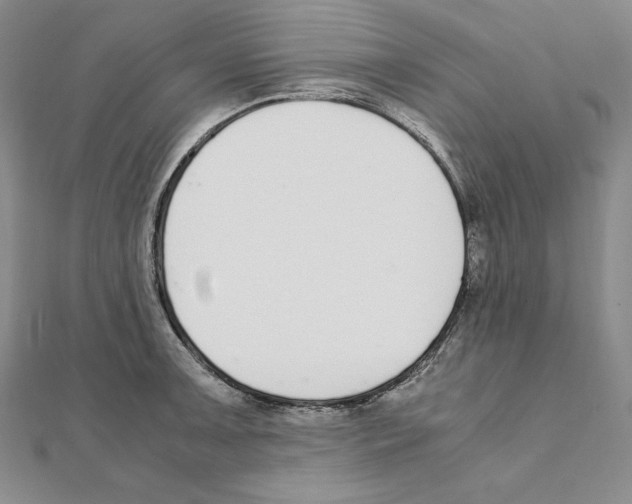 X0000111141091200907281107