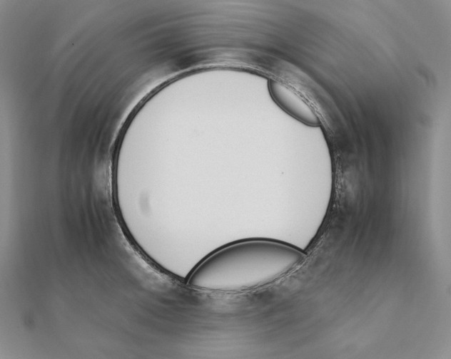 X0000111141092200907281107