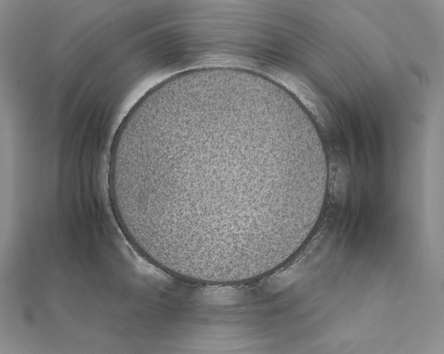 X0000111141094200907281107