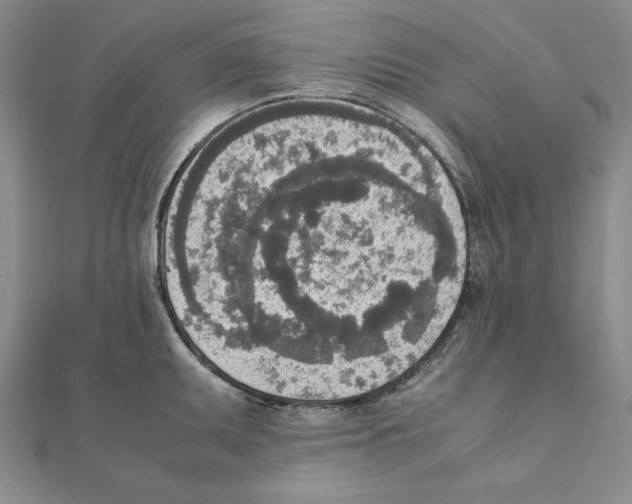 X0000111141095200907281107