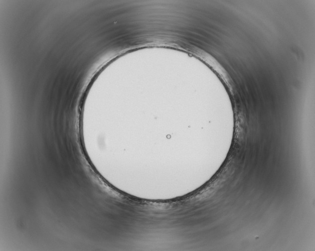 X0000111141096200907281107