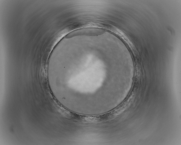 X0000111141097200907281107