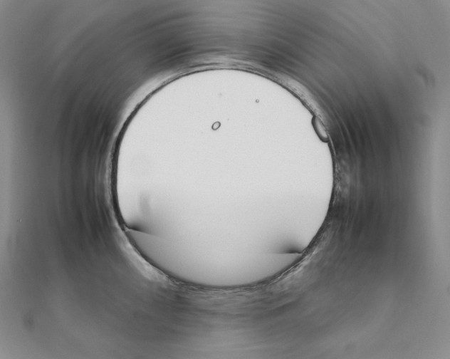 X0000111141098200907281107