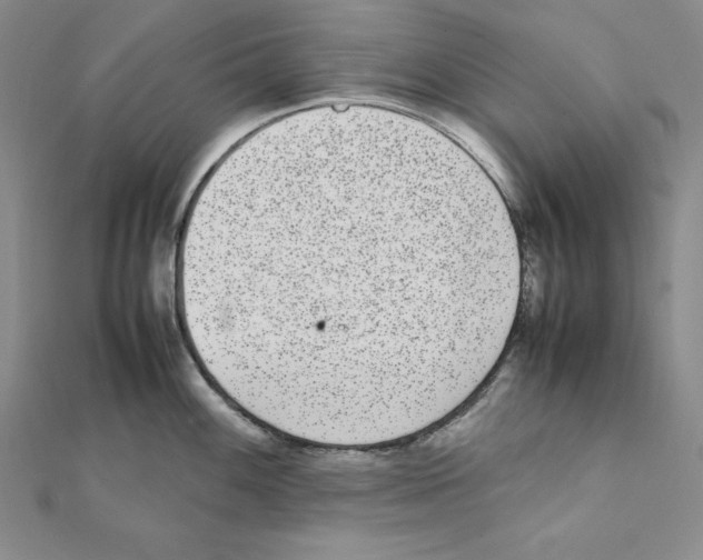 X0000111141100200907281107