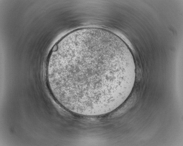 X0000111141101200907281107