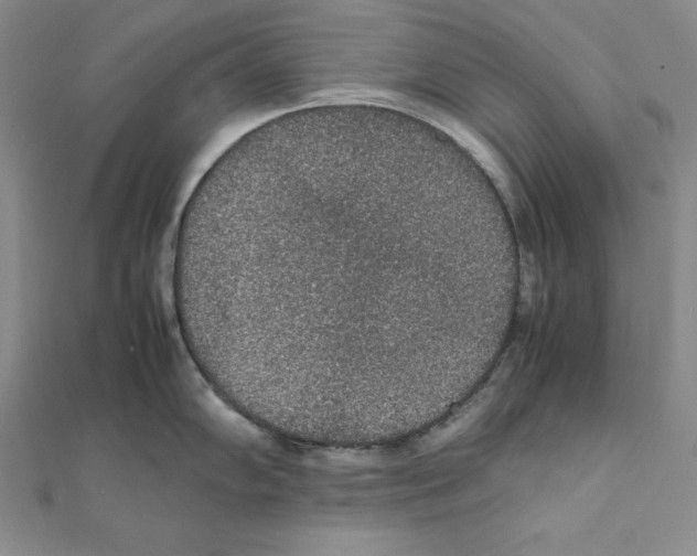 X0000111141102200907281107