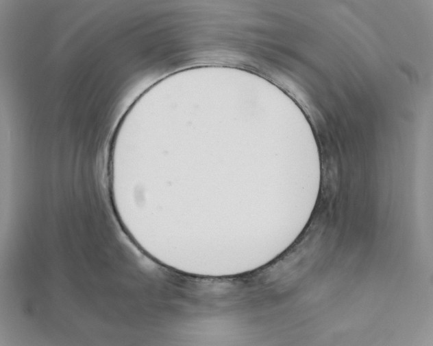 X0000111141103200907281107