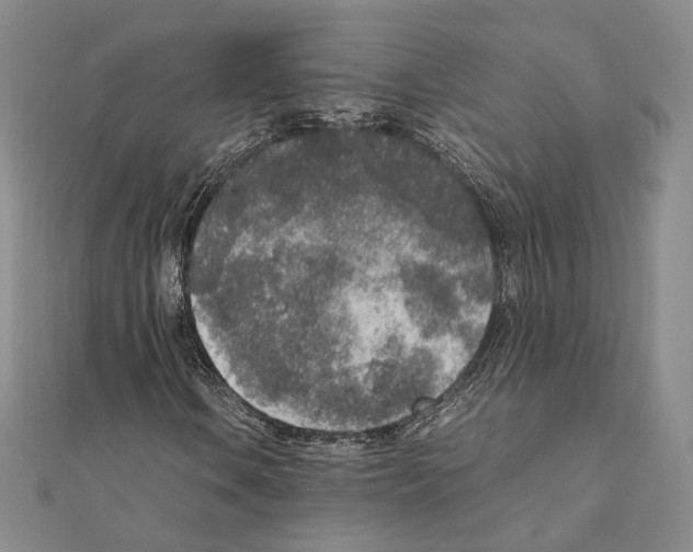 X0000111141106200907281106