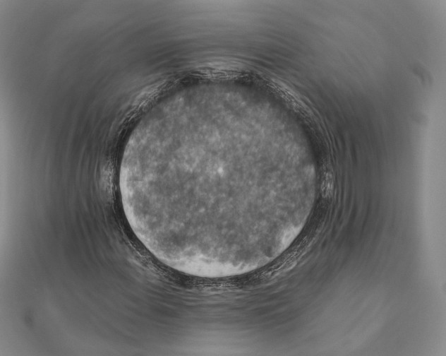 X0000111141108200907281106