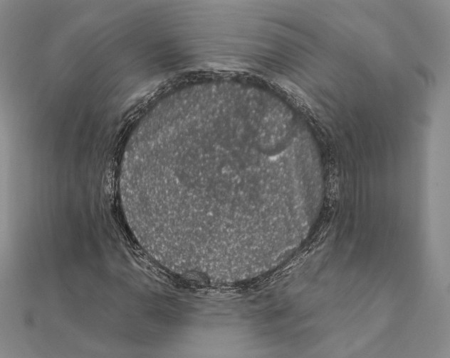 X0000111141110200907281106