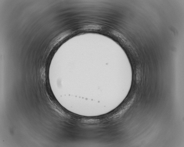 X0000111141113200907281106