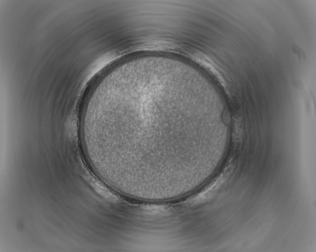 X0000111141114200907281106