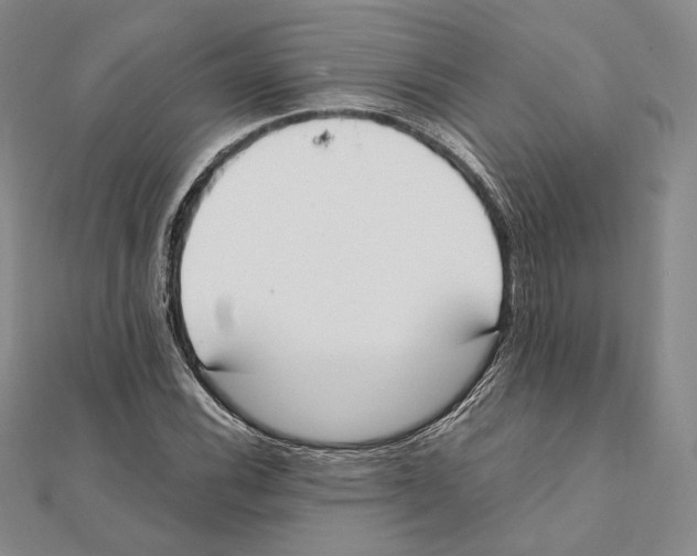 X0000111141116200907281107