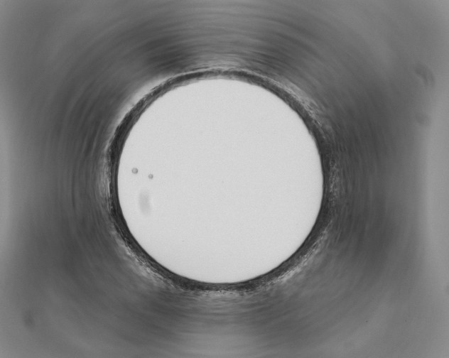 X0000111141118200907281107