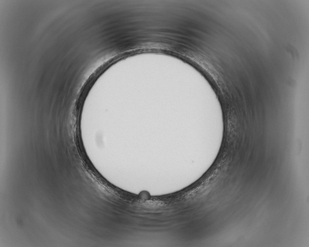 X0000111141119200907281107