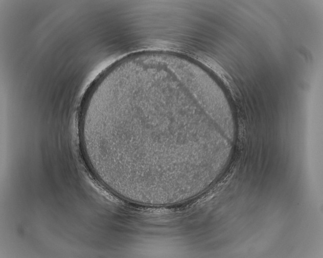 X0000111141120200907281107