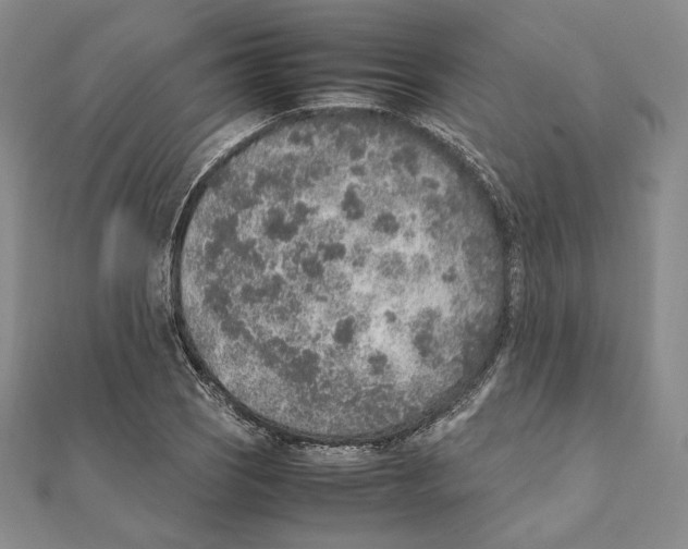 X0000111141121200907281107