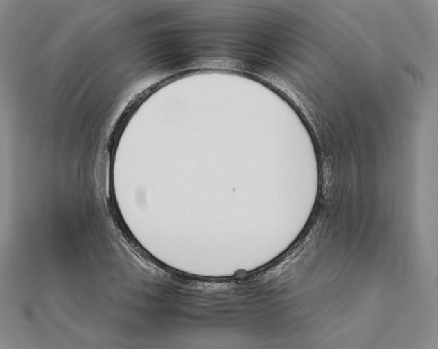 X0000111141123200907281107