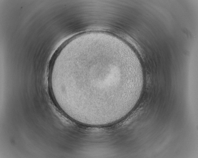 X0000111141124200907281107